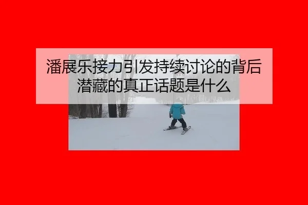 pan-zhan-le-jie-li-yin-fa-chi-xu-tao-lun-de-bei-hou-qian-cang-de-zhen-zheng-hua-ti-shi-shen-me-2-475.jpg